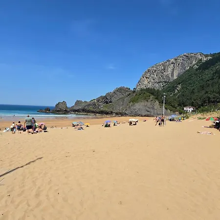 Laga Blue Surf